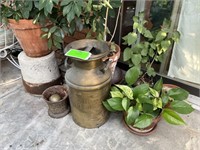 D&B brass milk can and house plant