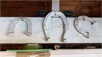 Horse Shoes Buyer Must Remove