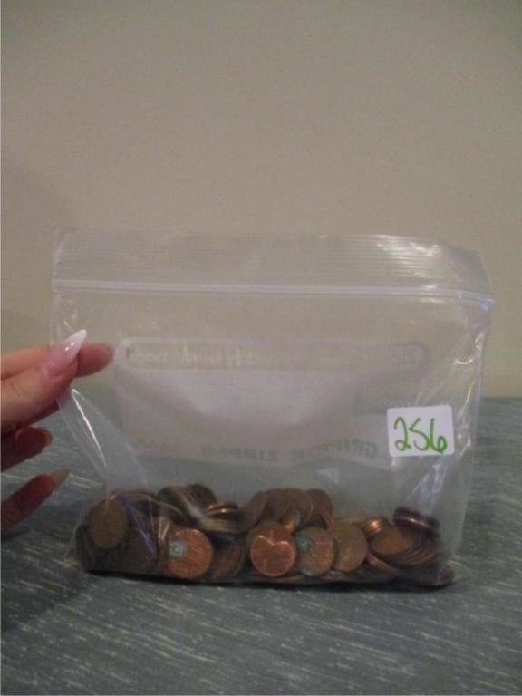 pennies bag.