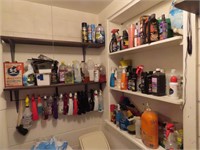Assorted Cleaning & Detailing Supplies