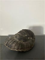 Rate ammonite fossil very detailed