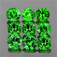 Natural Green Tsavorite Garnet 9 Pcs {Flawless-VVS