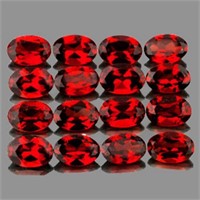 Natural Red Mozambique Garnet 16 Pcs{Flawless-VVS1