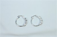 Pair of Silver Color and CZ Earrings