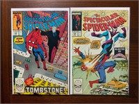 Marvel Comics 2 piece Spectacular Spider-Man