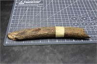 Fossil tusk, Unknown location, 11.2 oz