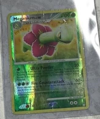 Pokémon holo card w/ case