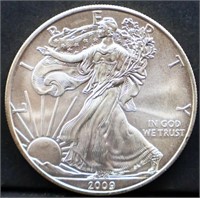 2009 silver eagle coin