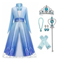 6T  Sz 6T Frozen 2 Elsa Deluxe Princess Dress Cost