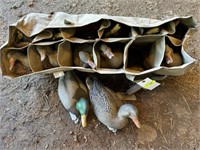 Ducks Unlimited bag w/12 duck decoys