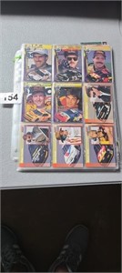 1994 pro set race cards ( 135 )