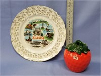 10 1/2" Alaskan Mt. McKinley decorative plate and