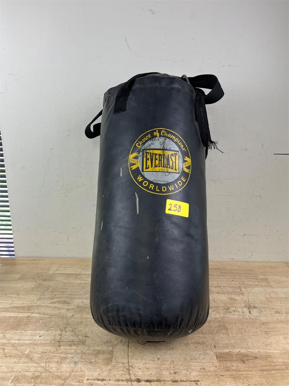 Everlast Punching Bag