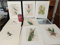 9 Prints - 5 plant and 3 bird prints look at y