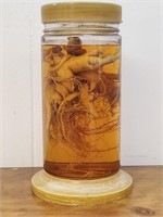 13" bottle of preserved Ginseng Root