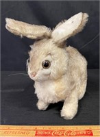 DESIRABLE LARGE STEIFF RABBIT W EAR BUTTON