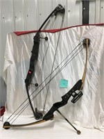 two compound bows
