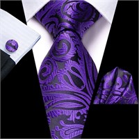 Hi-Tie Men's Purple Neck Tie