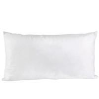 Indoor/Outdoor Pillow Insert (set of 22) $52