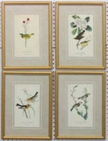 SET OF 4 ANTIQUE BIRDS BY JOHN J. AUDUBON