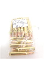 18 Rounds of Winchester .223 Ammo