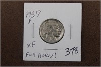 1937-P Full Horn Buffalo Nickel
