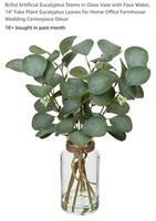 MSRP $14 Eucalptus Stems in Glass Vase