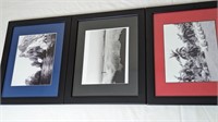 3 HAWAII SEASIDE PHOTOS MATTED AND FRAMED