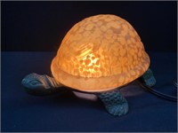 Turtle Light