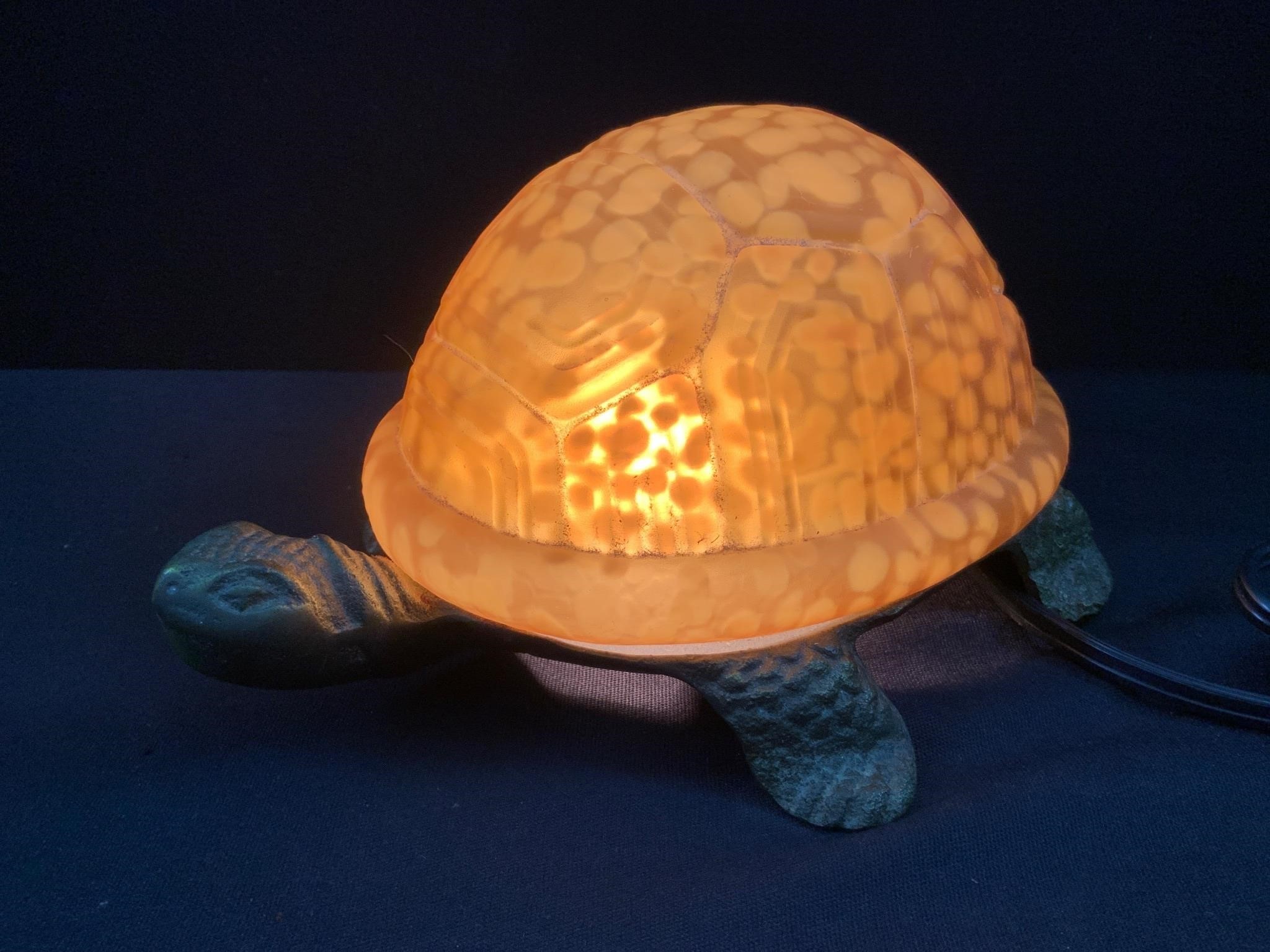 Turtle Light