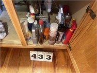 Cleaners in Cabinet