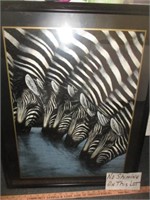 Zebras - Framed Poster Print Wall Art