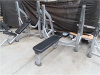 Life Fitness Flat bench Press
