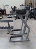 Precor Vertical Knee Up Station