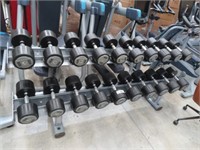 Life Fitness 2 Tier Dumbbell Rack with Dumbbells