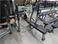 Life Fitness Flat bench Press