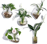 5pc Geometric Glass Plant Terrarium