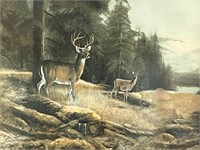 Framed Picture of Doe & Buck at Forest's Edge