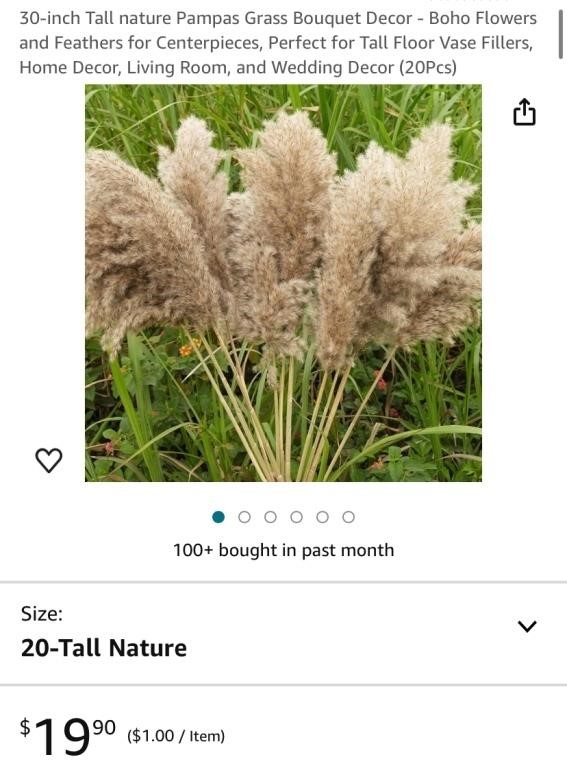 PAMPAS GRASS QTY 3PKS OF 20 (NEW)