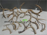 Antlers