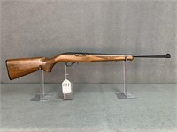 141. Ruger 10/22 Carbine, .22LR, Monte Carlo