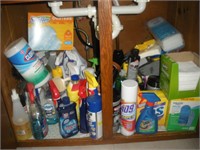 Cleaners - contents of cabinet