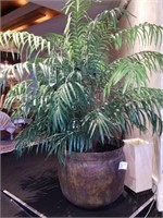 Tropical Tree w/ Metal Planter