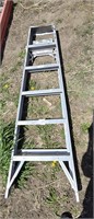 6 ft. Aluminum Ladder