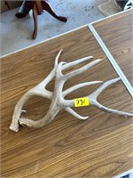 Antlers