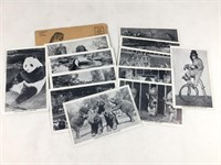 12 1947 St. Louis Zoo Postcards & Envelope