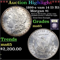 *Highlight* 1899-s vam 14 I3 R5 Morgan $1 Graded G