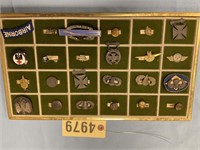 LARGE TRAY WITH 24 VARIOUS BRANCHES OF BADGES, BUT