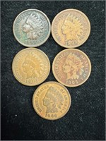 Lot of Five Indian Head Pennies