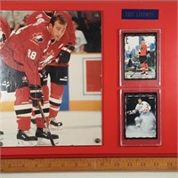 Lindros display